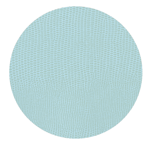 Soft Aqua Lizard Round Coasters - 8 Per Package
