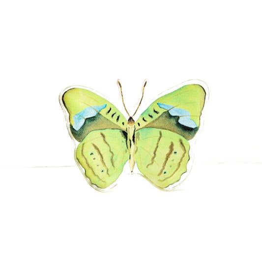 Green Butterfly Acrylic Art Block Small