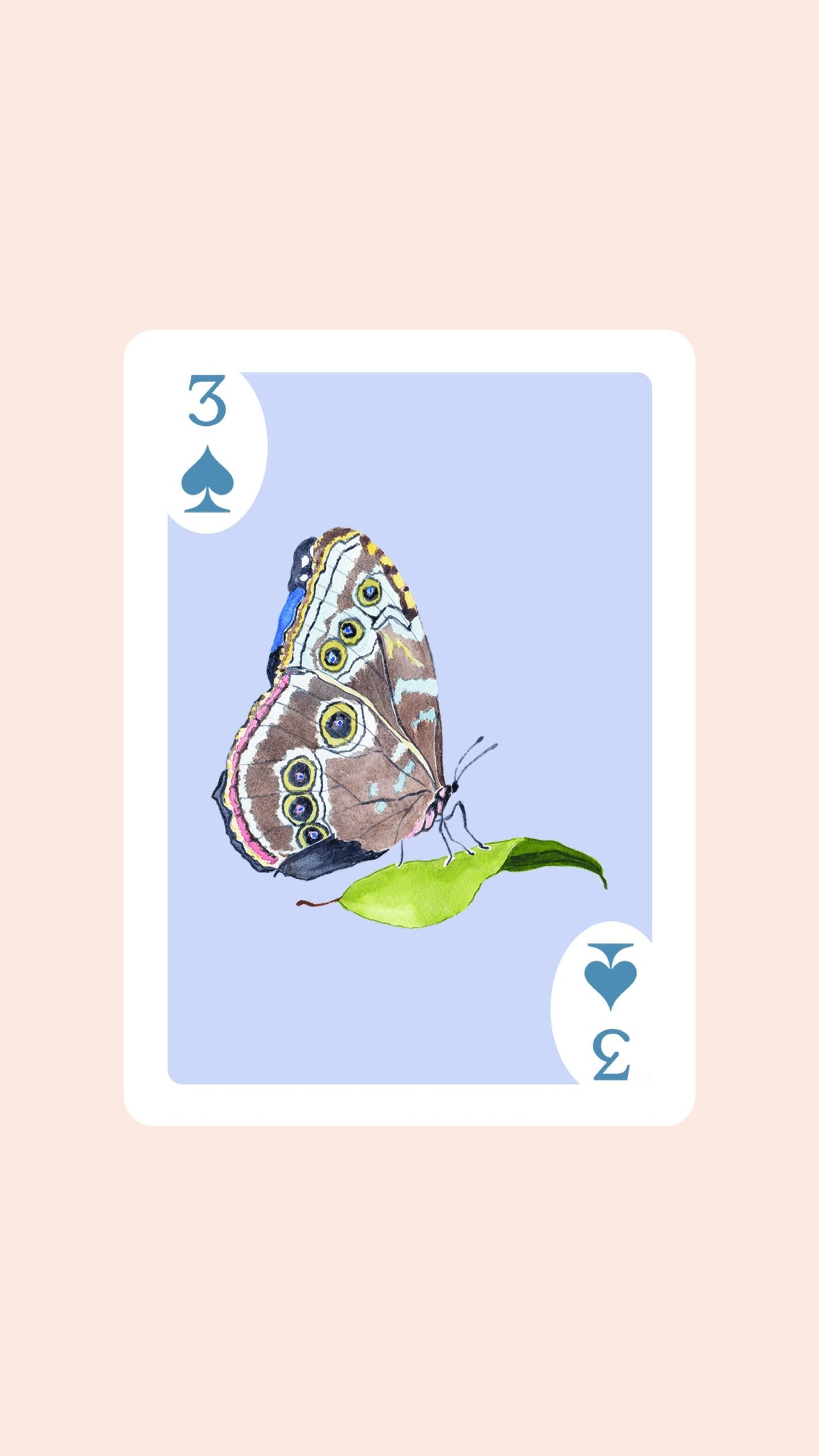 Butterfly Playing Cards with Acrylic Box