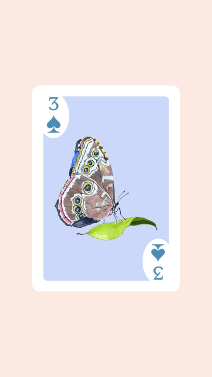 Butterfly Playing Cards with Acrylic Box