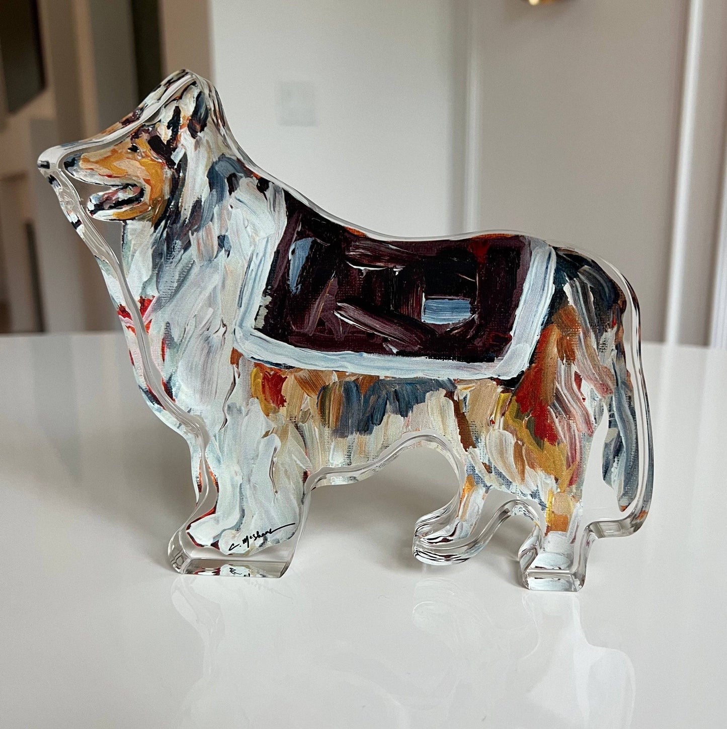 "Rev" acrylic shelfie