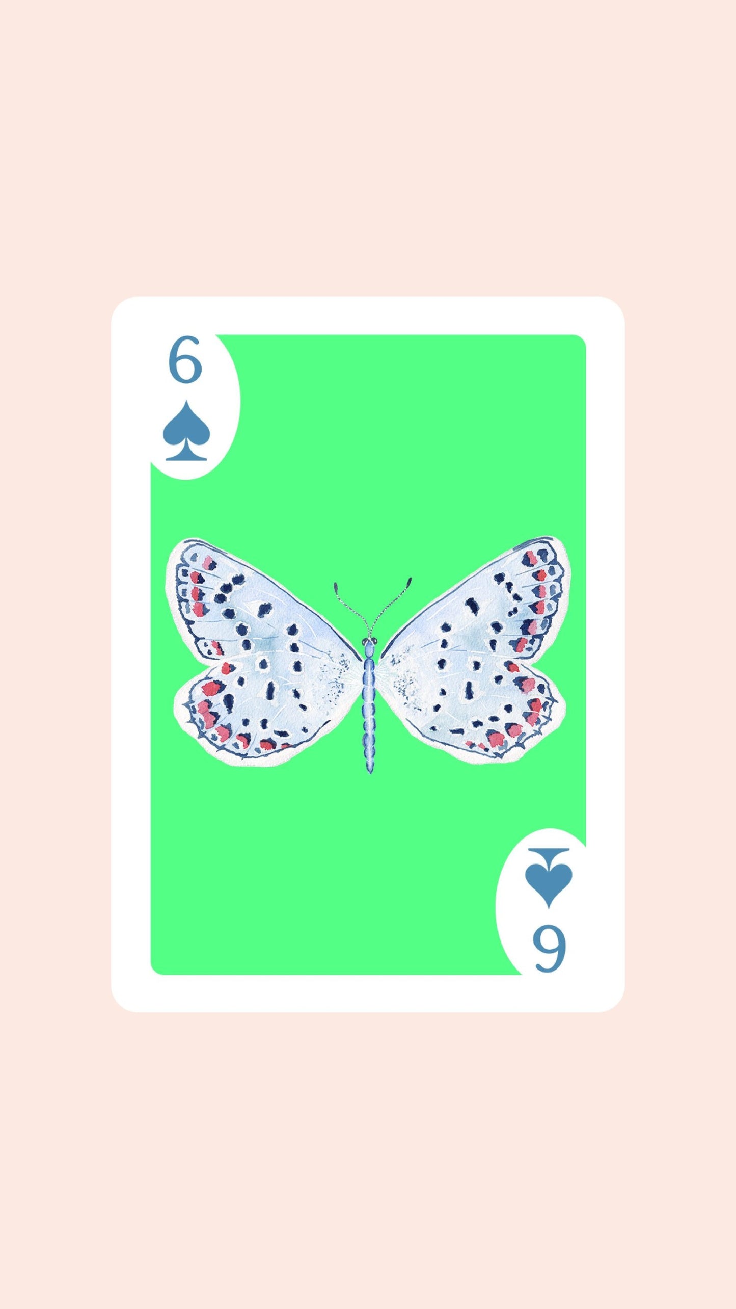 Butterfly Playing Cards with Acrylic Box