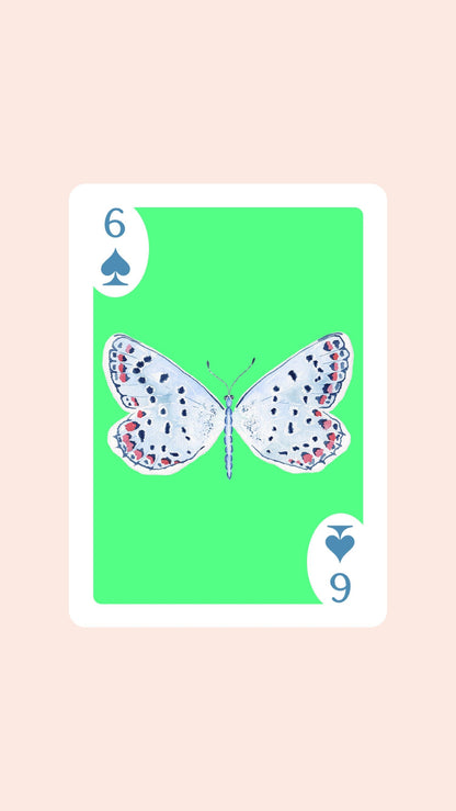 Butterfly Playing Cards with Acrylic Box