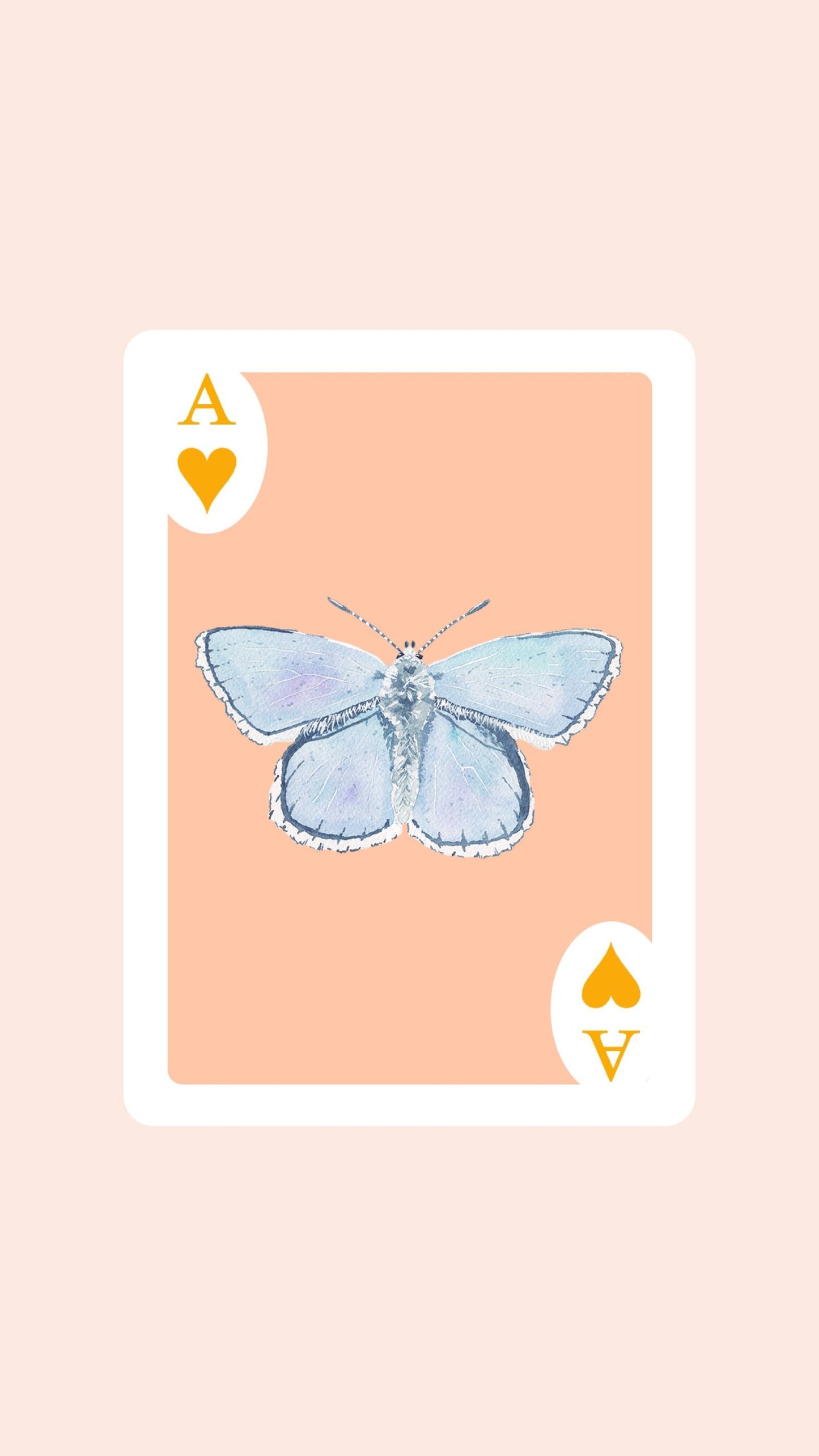 Butterfly Playing Cards with Acrylic Box