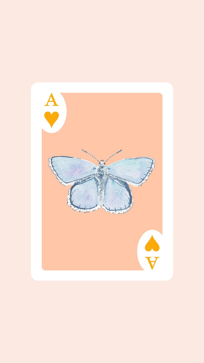 Butterfly Playing Cards with Acrylic Box