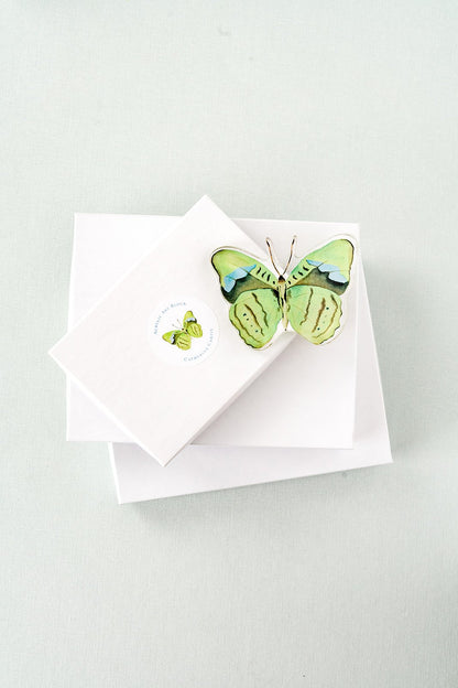 Green Butterfly Acrylic Art Block Small