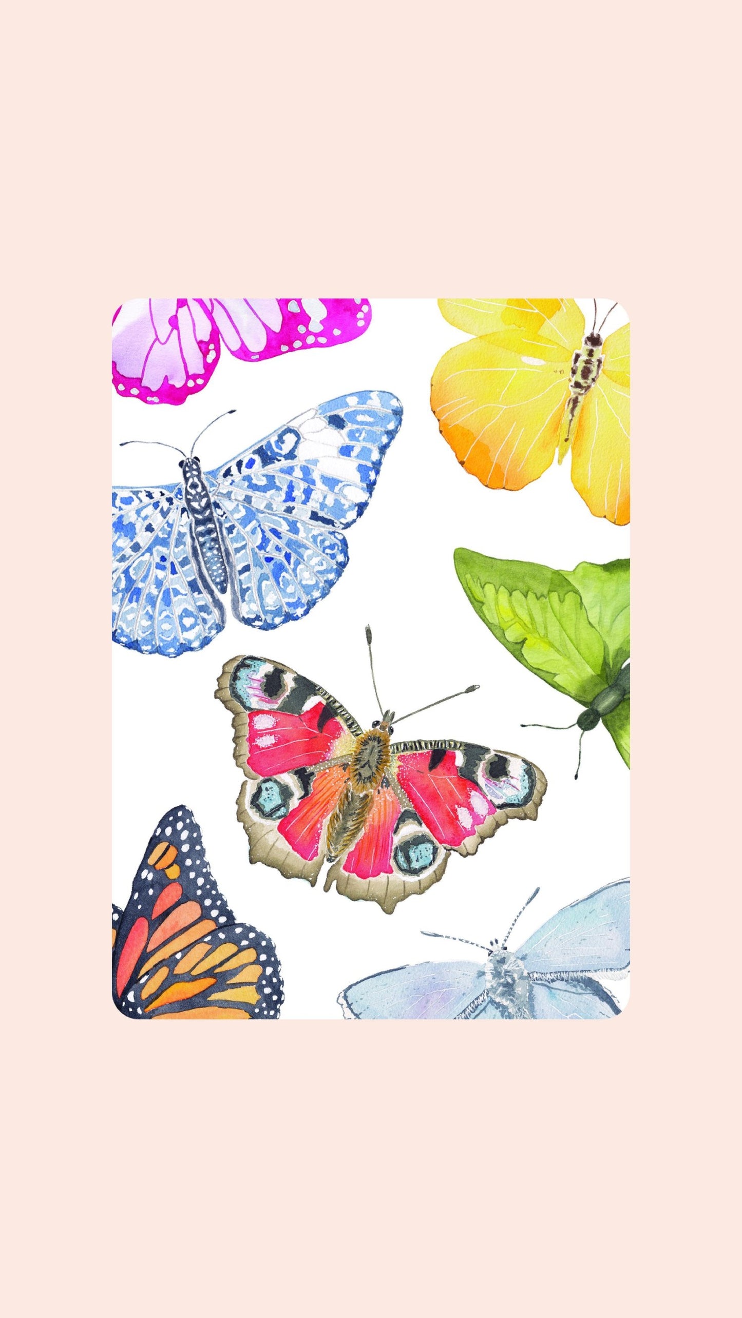 Butterfly Playing Cards with Acrylic Box