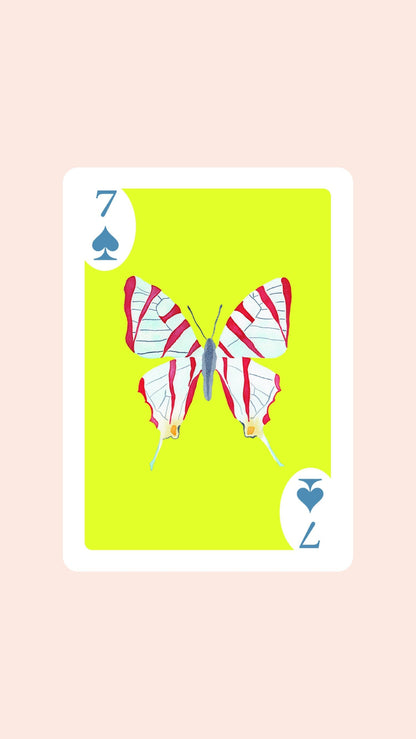 Butterfly Playing Cards with Acrylic Box