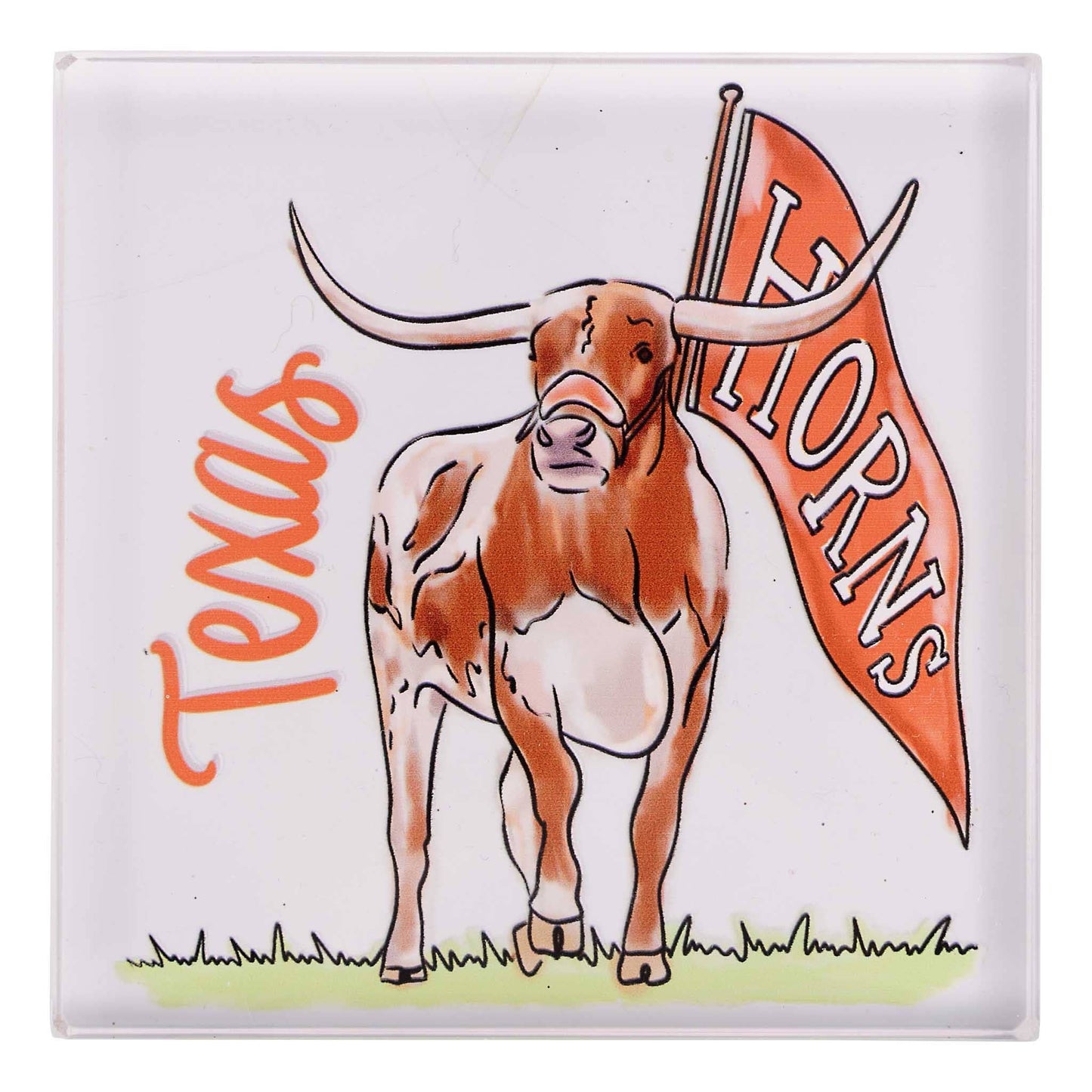Texas Mascot Napkin Weight