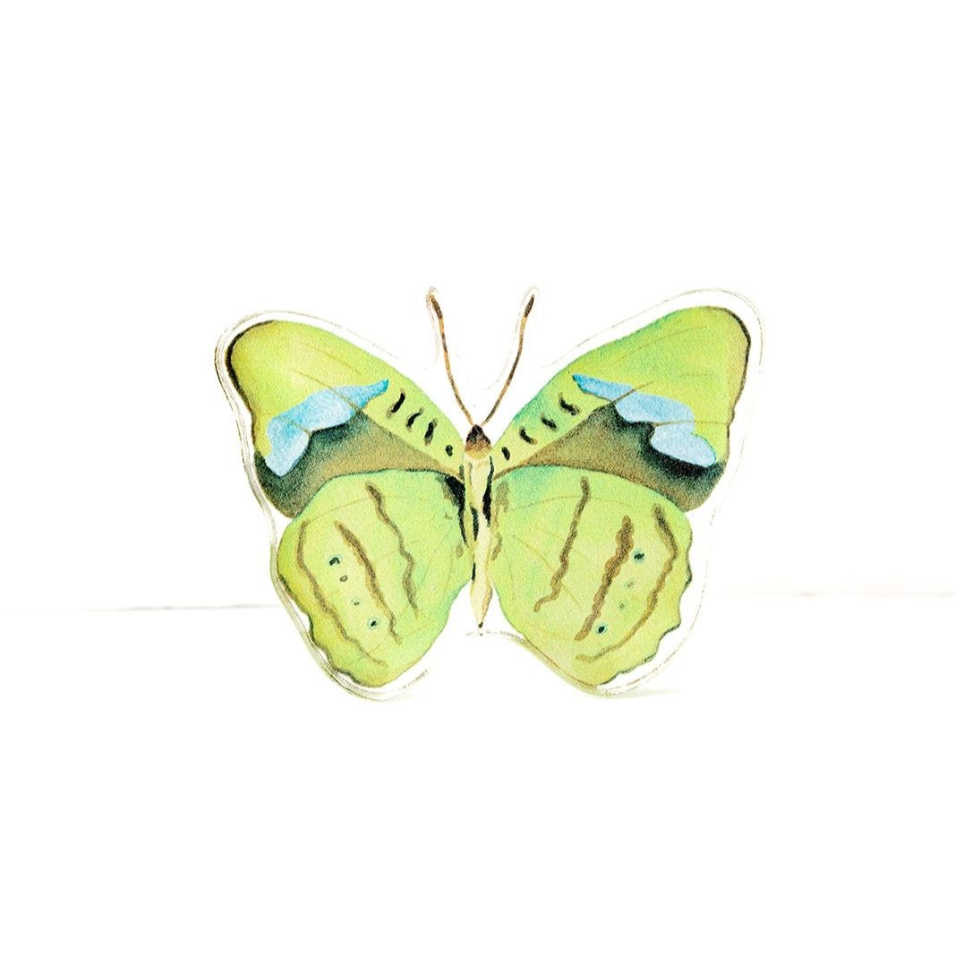Green Butterfly Acrylic Art Block Small