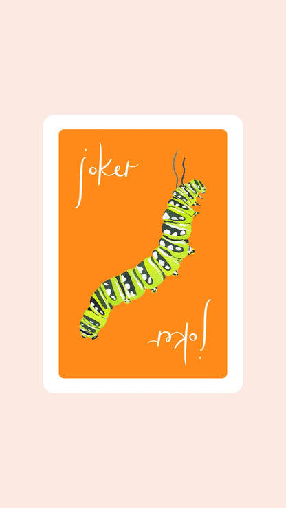 Butterfly Playing Cards with Acrylic Box