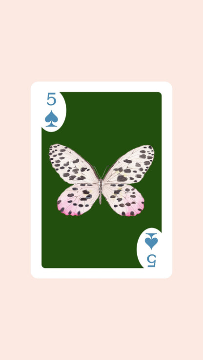 Butterfly Playing Cards with Acrylic Box