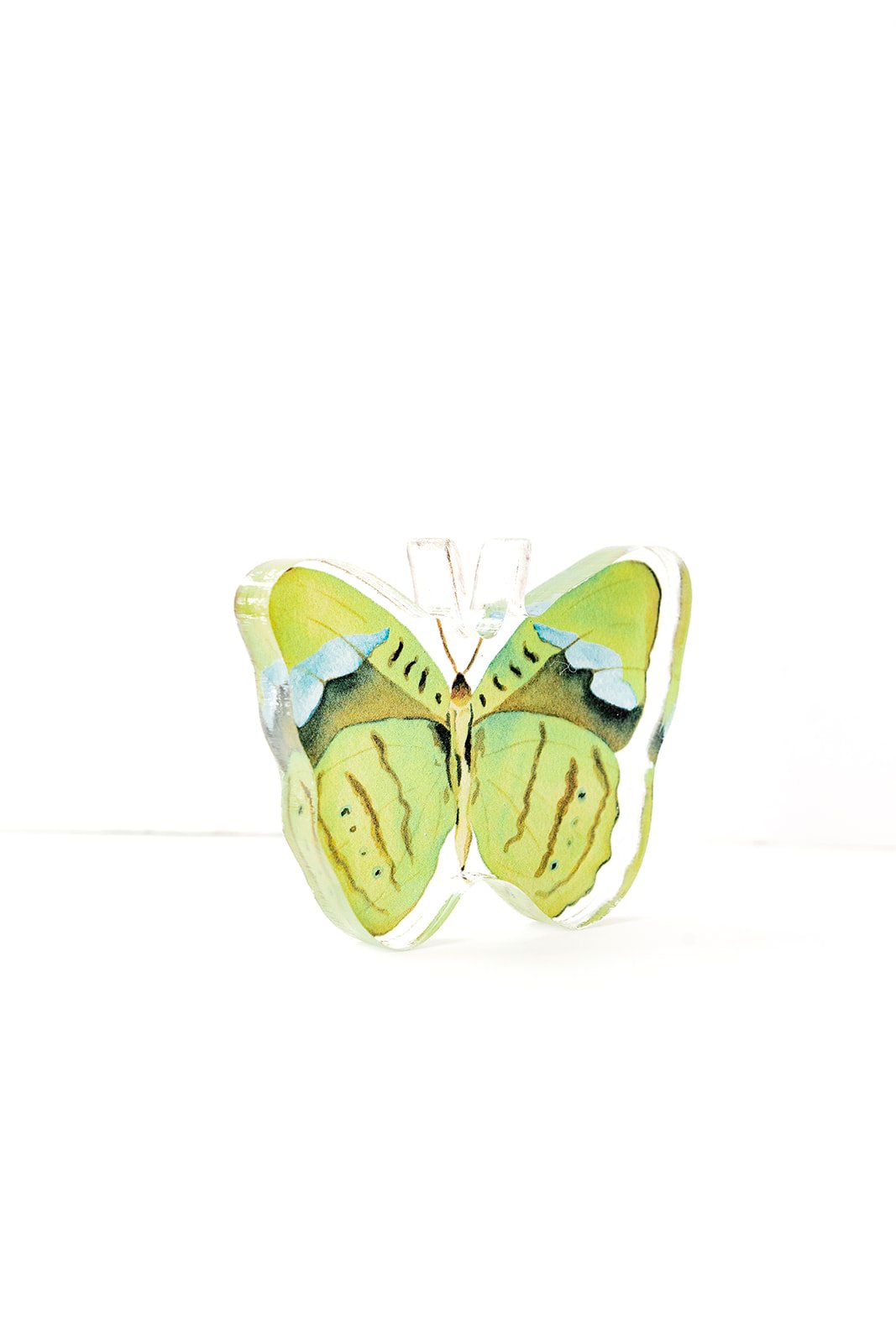 Green Butterfly Acrylic Art Block Small