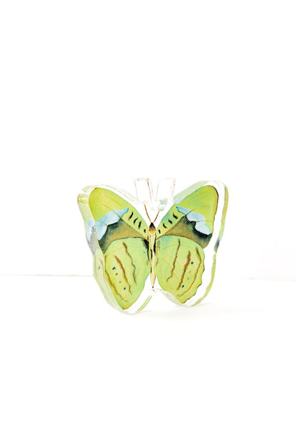 Green Butterfly Acrylic Art Block Small