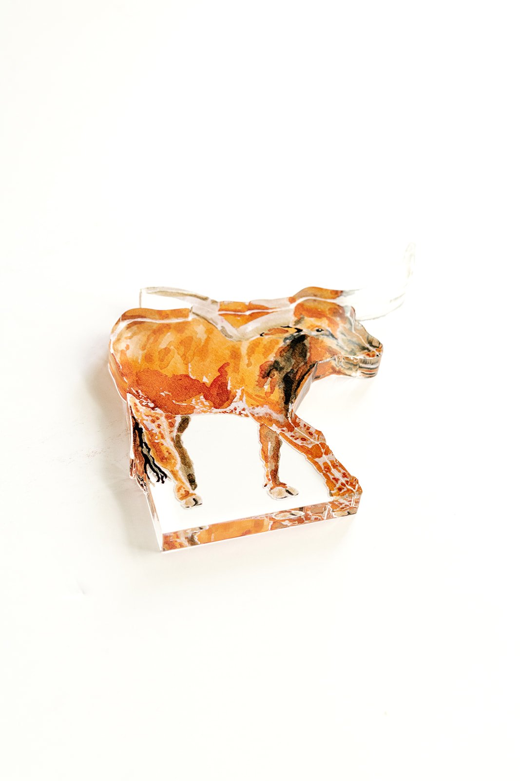 Longhorn Acrylic Art Block Large