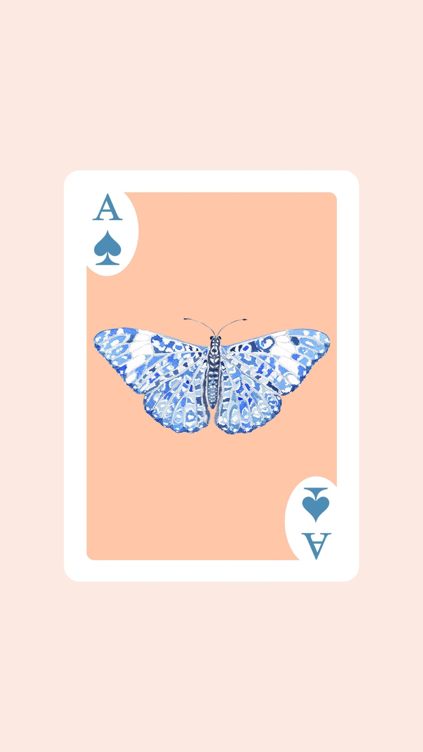 Butterfly Playing Cards with Acrylic Box
